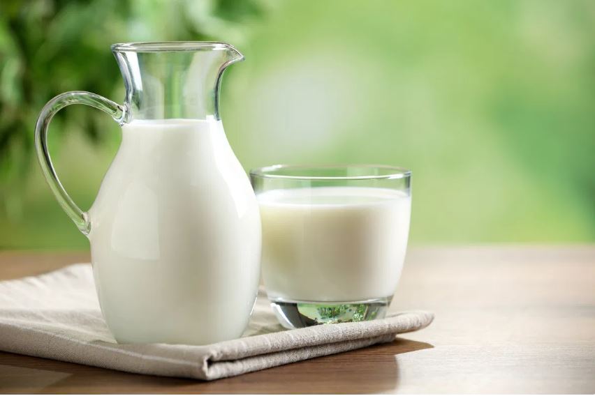 Inovação | Leite sem vacas: biotech brasileira apresenta proteína láctea produzida em laboratório