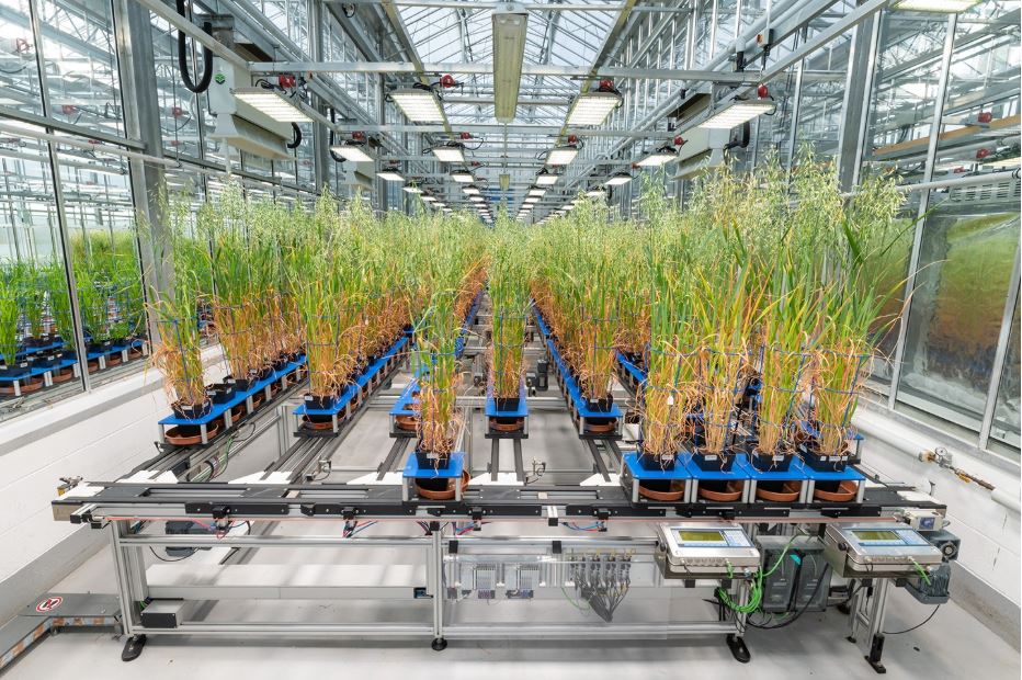 Relatório | Inteligência artificial aliada à biotecnologia pode transformar a agricultura