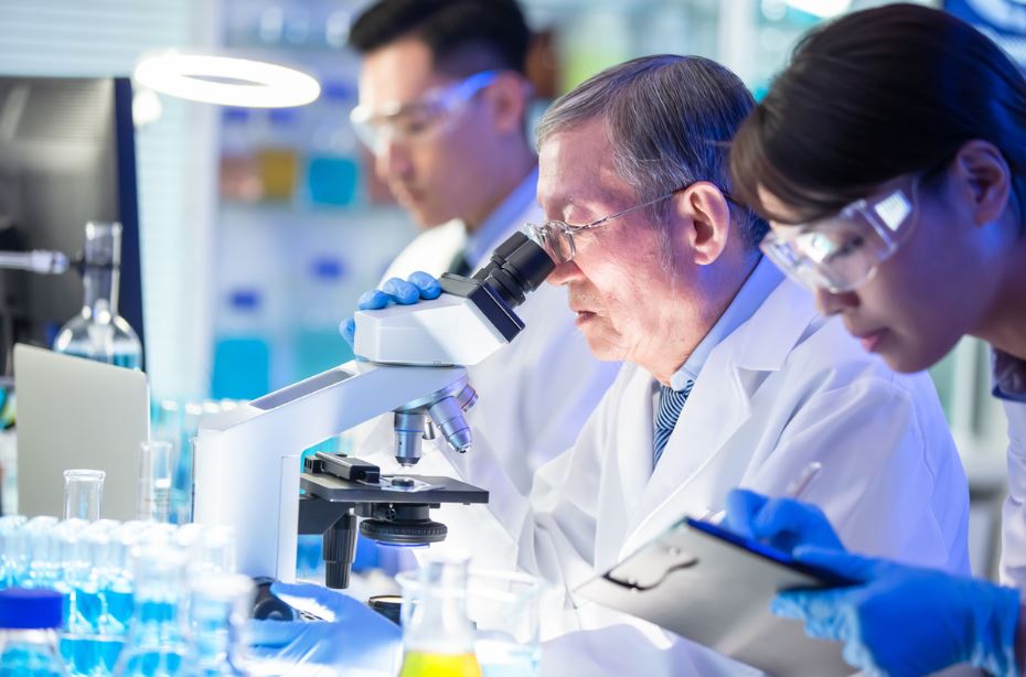Investigadores chineses desenvolvem nova tecnologia de edição genética que permite modificar grandes segmentos de ADN