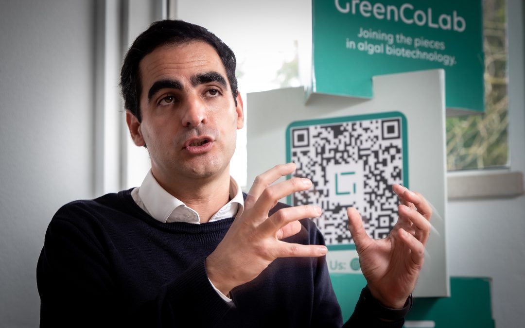 Entrevista | A ciência das algas que quer chegar ao mercado