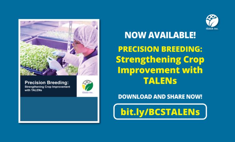 Edição genética | A tecnologia que pode mudar o futuro dos alimentos: conheça os TALENs
