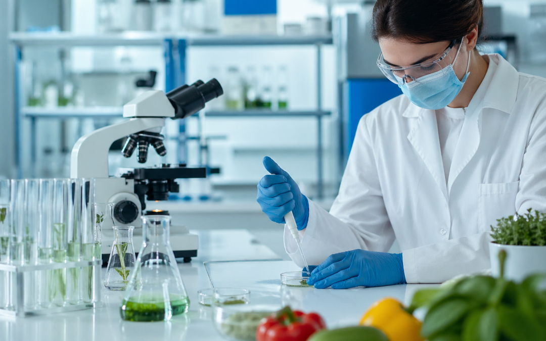 Estudo | Edição genética pode melhorar segurança alimentar, mas falta validar impacto real