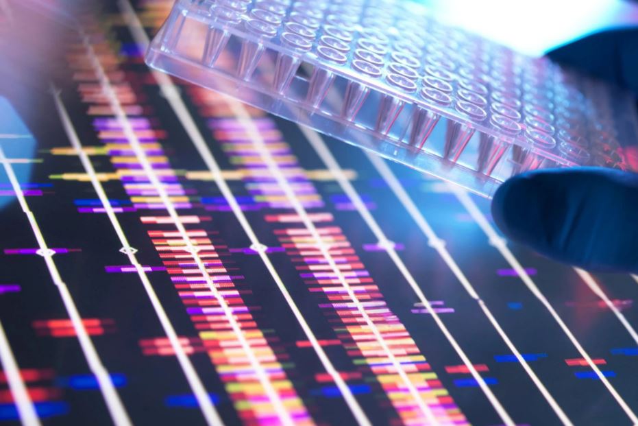 CREsted | Nova ferramenta usa IA para desvendar o “interruptor” dos genes