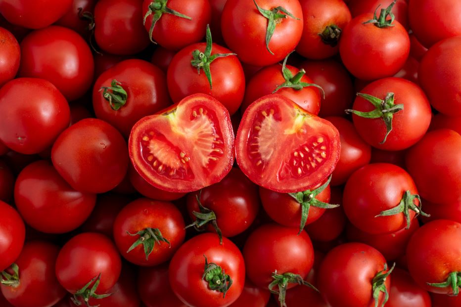 CRISPR | Tomates com menos histamina? Edição genética abre caminho a variedades mais seguras